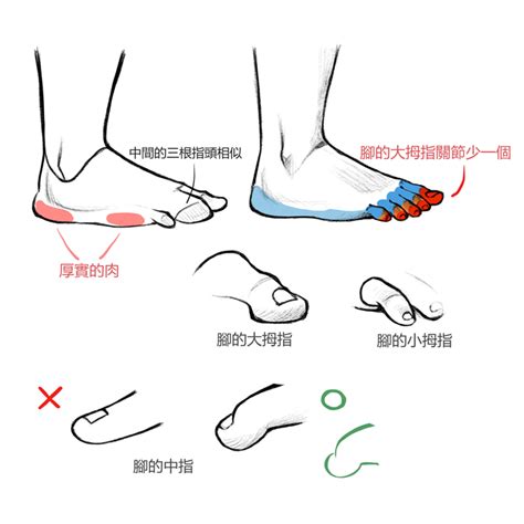 頂腳|頂腳煩惱：立即解決